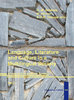 LE 105: Language, Literature and Culture in a Multilingual Society. Vol I